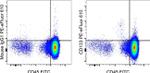 CD133 (Prominin-1) Monoclonal Antibody (TMP4), PE-eFluor™ 610, eBioscience™
