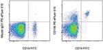 CD196 (CCR6) Monoclonal Antibody (R6H1), PE-eFluor™ 610, eBioscience™