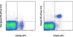 CD335 (NKp46) Monoclonal Antibody (29A1.4), PE-eFluor™ 610, eBioscience™