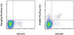 EOMES Monoclonal Antibody (Dan11mag), PE-eFluor™ 610, eBioscience™