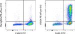 VSIG4 Monoclonal Antibody (NLA14), PE-eFluor™ 610, eBioscience™