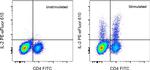 IL-2 Monoclonal Antibody (JES6-5H4), PE-eFluor™ 610, eBioscience™