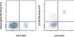 CD185 (CXCR5) Monoclonal Antibody (MU5UBEE), PE-eFluor™ 610, eBioscience™