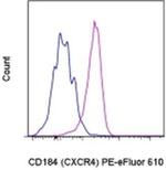 CD184 (CXCR4) Monoclonal Antibody (2B11), PE-eFluor™ 610, eBioscience™