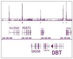 Phospho-RNA pol II CTD (Ser7) Antibody in ChIP-Sequencing (ChIP-Seq)