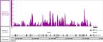 Histone H3 Antibody in ChIP-Sequencing (Chip-Seq)