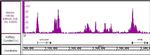 Histone H3K4ac Antibody in ChIP-Sequencing (ChIP-Seq)