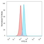 ZNF704/Zinc finger protein 704 Antibody in Flow Cytometry (Flow)