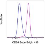 CD24 Monoclonal Antibody (eBioSN3 (SN3 A5-2H10)), Super Bright™ 436, eBioscience™