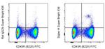 SIGLEC H Monoclonal Antibody (eBio440c), Super Bright™ 436, eBioscience™