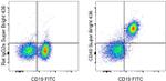 CD40 Monoclonal Antibody (1C10), Super Bright™ 436, eBioscience™