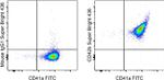 CD42b Monoclonal Antibody (HIP1), Super Bright™ 436, eBioscience™