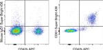 CD61 (Integrin beta 3) Monoclonal Antibody (VI-PL2), Super Bright™ 436, eBioscience™