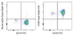 CD66 Monoclonal Antibody (CD66a-B1.1), Super Bright™ 436, eBioscience™