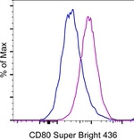 CD80 (B7-1) Monoclonal Antibody (2D10.4), Super Bright™ 436, eBioscience™