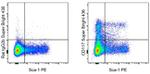 CD117 (c-Kit) Monoclonal Antibody (ACK2), Super Bright™ 436, eBioscience™