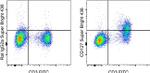 CD127 Monoclonal Antibody (A7R34), Super Bright™ 436, eBioscience™