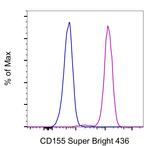 CD155 Monoclonal Antibody (2H7CD155), Super Bright™ 436, eBioscience™