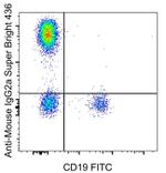 Rat anti-Mouse IgG2a Secondary Antibody, Super Bright™ 436, eBioscience™