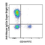 Rat anti-Mouse IgG2a Secondary Antibody, Super Bright™ 600, eBioscience™