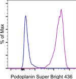 Podoplanin Monoclonal Antibody (eBio8.1.1(8.1.1)), Super Bright™ 436, eBioscience™