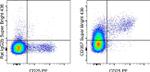 CD357 (AITR/GITR) Monoclonal Antibody (DTA-1), Super Bright™ 436, eBioscience™