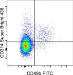 CD314 (NKG2D) Monoclonal Antibody (CX5), Super Bright™ 436, eBioscience™