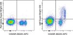 Mouse IgM Antibody in Flow Cytometry (Flow)