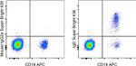 Human IgD Antibody in Flow Cytometry (Flow)