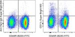 CD11c Monoclonal Antibody (N418), Super Bright™ 600, eBioscience™