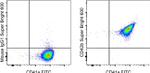 CD42b Monoclonal Antibody (HIP1), Super Bright™ 600, eBioscience™