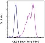 CD59 (Protectin) Monoclonal Antibody (OV9A2), Super Bright™ 600, eBioscience™