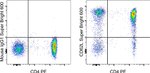 CD62L (L-Selectin) Monoclonal Antibody (DREG-56 (DREG56)), Super Bright™ 600, eBioscience™