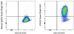 VSIG4 Monoclonal Antibody (JAV4), Super Bright™ 600, eBioscience™