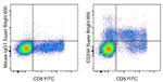 CD244 Monoclonal Antibody (eBioC1.7 (C1.7)), Super Bright™ 600, eBioscience™