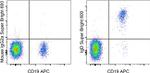 Human IgD Antibody in Flow Cytometry (Flow)