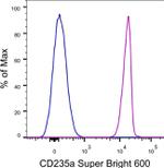 CD235a (Glycophorin A) Monoclonal Antibody (HIR2 (GA-R2)), Super Bright™ 600, eBioscience™