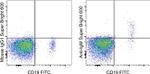 Human IgM Monoclonal Antibody (SA-DA4), Super Bright™ 600, eBioscience™