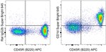 CD1d Monoclonal Antibody (1B1), Super Bright™ 645, eBioscience™