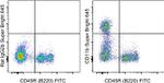 CD11b Monoclonal Antibody (M1/70), Super Bright™ 645, eBioscience™