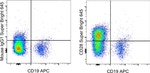 CD28 Monoclonal Antibody (CD28.2), Super Bright™ 645, eBioscience™