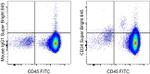 CD34 Monoclonal Antibody (4H11), Super Bright™ 645, eBioscience™