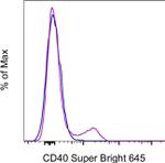 CD40 Monoclonal Antibody (5C3), Super Bright™ 645, eBioscience™