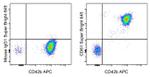 CD61 (Integrin beta 3) Monoclonal Antibody (VI-PL2), Super Bright™ 645, eBioscience™