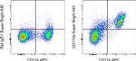 CD172a (SIRP alpha) Monoclonal Antibody (P84), Super Bright™ 645, eBioscience™