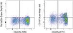 CD197 (CCR7) Monoclonal Antibody (3D12), Super Bright™ 645, eBioscience™