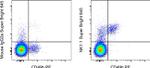 NK1.1 Monoclonal Antibody (PK136), Super Bright™ 645, eBioscience™