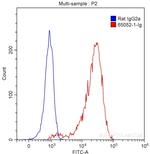 CD107b/LAMP2 Antibody in Flow Cytometry (Flow)