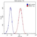CD107b Antibody in Flow Cytometry (Flow)