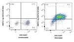 CD274 (PD-L1, B7-H1) Antibody in Flow Cytometry (Flow)